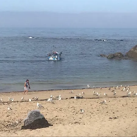 Casa Ferreira Hotel Vila Cha (Porto)