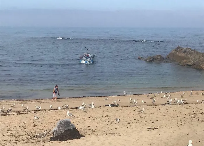 Casa Ferreira Hotel Vila Cha (Porto)